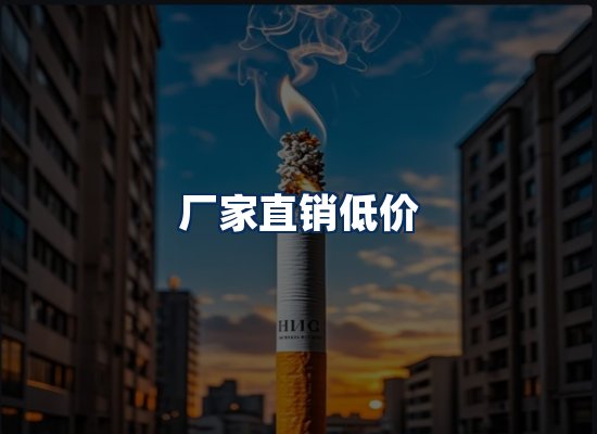 专业团队办公环境